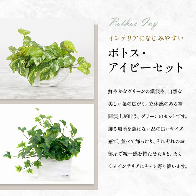 観葉植物 エミリオ・ロバ アイビー ポトス 2点セット 造花 Sサイズ つる性 卓上 フェイクグリーン アーティフィシャルグリーン 人工観葉植物 インテリア 水やり不要 テーブル リビング 玄関 ナチュラル ギフト 贈り物 三重県 名張市