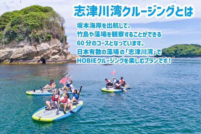 チケット 足漕ぎカヤック HOBIE 志津川湾 クルージング 体験 2名様分 [サスティナビリティセンター 宮城県 南三陸町 m304blw940000] チケット ペアチケット カヤック アウトドア 旅行 観光 体験会 券 ペア