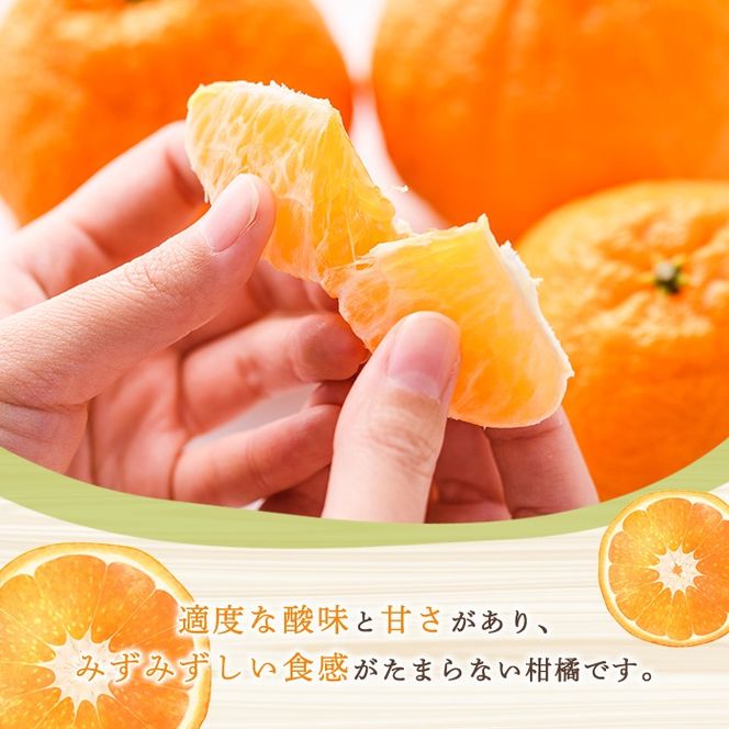 訳あり！露地栽培の不知火(4kg) 国産 不知火 しらぬい 柑橘 果物 フルーツ デザート 露地 果実 期間限定 数量限定【古田果樹園】akn093-03