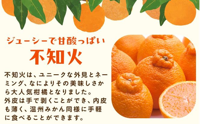 ［先行予約］厳選 不知火7.5kg+250g（傷み補償分）［デコポンと同品種・人気の春みかん］ 	CZ204