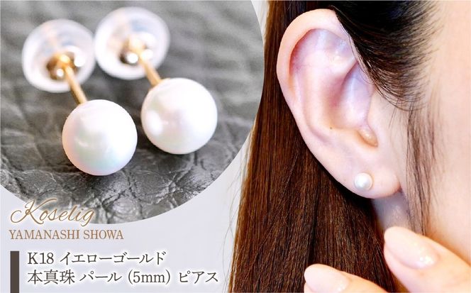yRazK18 CG[S[h {^ p[ (5mm) sAX ۏ؏t KO-0049 SWAD062
