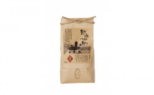 熱塩加納米（コシヒカリ） 玄米　2kg （純米料理酒 蔵の素・匠 ／ 原料米）