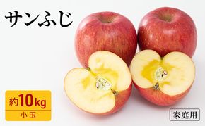 りんご サンふじ 家庭用 小玉 約10kg フルーツ 果物 林檎 甘い 訳あり