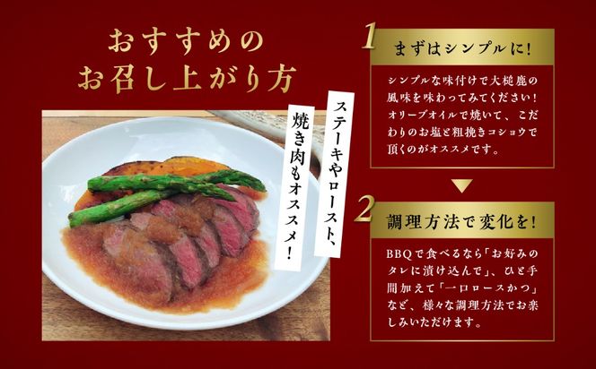 【シェフが選ぶ希少部位】（ロース肉 200g×1パック/200g×2パック計400g）｜【ロースト・ステーキに】岩手県産 天然鹿 鹿肉 ジビエ ヘルシー 低カロリー 冷凍 赤身