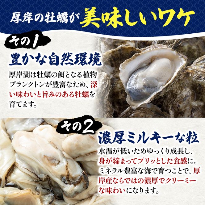 訳あり 北海道 厚岸産 砂抜き済み あさり & 殻付き 牡蠣  各500g 【光輝】 [ 魚貝類 海鮮 海の幸 みそ汁 酒蒸し アサリバタ 産地直送 生食用牡蠣 生食用 牡蠣 カキ ］