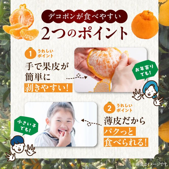 BD7008_和歌山有田産 デコポン秀品のみ！ 2.5kg（9～12玉）