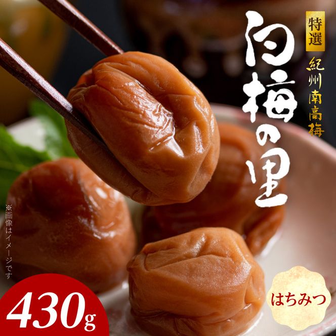 特選紀州南高梅「白梅の里」はちみつ　430ｇ_SF2011