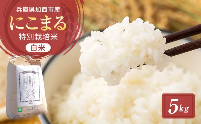 令和7年産 特別栽培米 にこまる 白米 5kg 精米 お米 こめ コメ ごはん ご飯 単一原料米