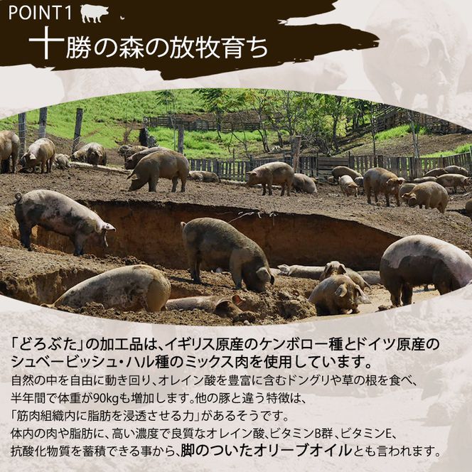 十勝幕別産ブランド放牧豚［どろぶた］ハンバーグ2種セット【 北海道 豚肉 ハンバーグ 惣菜 おかず ジャンボ 】 