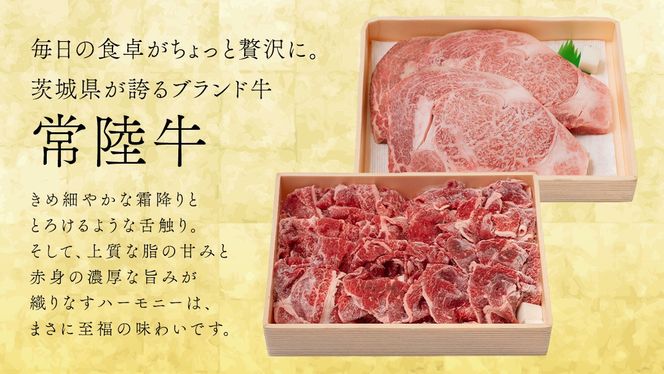 【 茨城ブランド肉の最高峰 】ローズポーク ＆ 常陸牛 贅沢 定期便 ( 全6種 ) ブランド豚 銘柄豚 豚肉 豚 肉 お肉 にく ロース 生姜焼き しゃぶしゃぶ 焼肉 バーベキュー 厚切り とんかつ ポークソテー トンテキ  牛肉 和牛 ギフト 贈答 贈り物 国産 茨城県産 茨城県共通返礼品 [AE083ci]