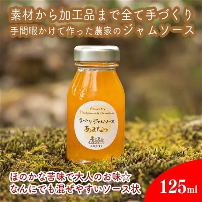 142-2733 スイスで加工品を学んだ農家が作った手づくりジャムソース 32本セット 手作りみかん キウイ あまなつ ブルーベリー他 125ml 詰め合わせ ギフト【 家庭用 自宅用 贈答品 贈答用 ギフト お取り寄せ お中元 お歳暮 贈り物 お祝い 神奈川県 小田原市 】