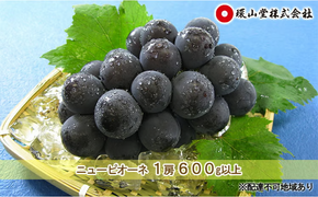 ぶどう 2026年 先行予約 ニュー ピオーネ 1房 600g以上 ブドウ 葡萄 岡山県産 国産 フルーツ 果物 ギフト 環山堂 大粒 種無し 甘い 甘酸っぱさ 人気 香り 高糖度 美しい 贈り物 ギフト [№5735-1430]