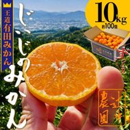 本場有田みかん じぃじのみかん10kg   EC001