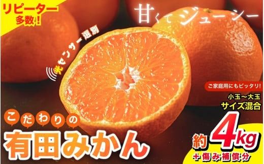 【2024年12月発送予約分】＼光センサー選別／ 【農家直送】【家庭用】こだわりの有田みかん 約4kg＋250g(傷み補償分)  先行予約 有機質肥料100% サイズ混合 【12月発送】みかん ミカン 有田みかん 温州みかん 柑橘 有田 和歌山 ※北海道・沖縄・離島配送不可/みかん ミカン 有田みかん 温州みかん 柑橘 有田 和歌山 産地直送【nuk148-2A】