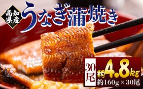 高知県産蒲焼きうなぎ １６０g ３０尾 計４８００ｇ fb-0186