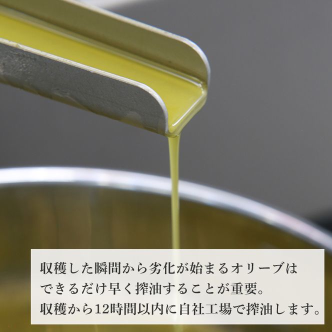 30本セット！「Virgin Valley 淡路阿利布」182ｇ（エキストラバージンオリーブオイル）【2025年度産】