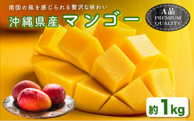 ハナトフルーツ 沖縄県産マンゴーA品 １ｋｇ 【 先行予約 2026年発送 】
