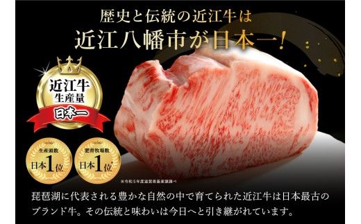 【一週間以内発送】【寛閑観】近江牛　焼しゃぶ用400g【冷蔵】【FR13W】