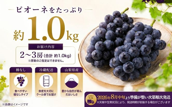 FB002【2026年 先行予約】山梨県産　種なしピオーネ2～3房(約1.0Kg）|ピオーネ 種無し ブドウ ぶどう 葡萄  フルーツ 果物 贈答 プレゼント