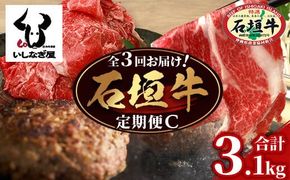 【全3回 定期便C】 石垣牛　切り落としスライス・ハンバーグ・肩ロースすきしゃぶ　計3.1kg（いしなぎ屋）【 特選肉 肉 高級 黒毛和牛 和牛 牛 】AB-31