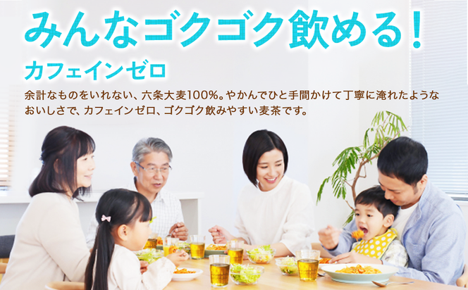 【3回定期便】やかんの麦茶 from 爽健美茶 PET 1ケース 2L×6本×3回【コカコーラ】 日本茶 お茶 麦茶 むぎ茶 ペットボトル カフェインゼロ ノンカフェイン 常温 送料無料 こども 美容 むくみ