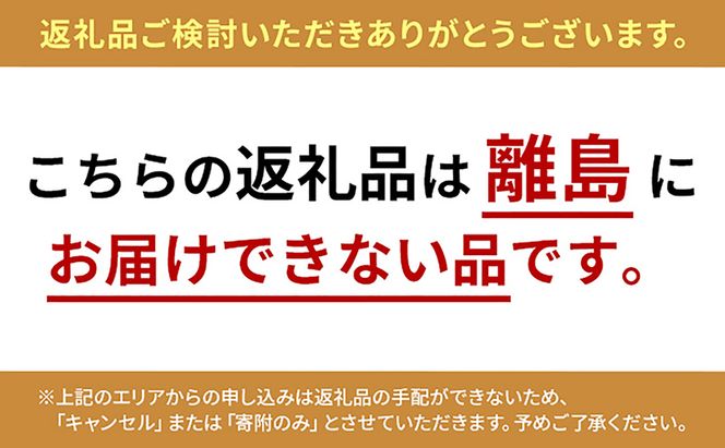 イエローコーン 約3kg 野菜 とうもろこし 野菜セット 