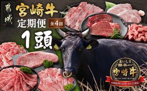 ≪4回お届け≫宮崎牛1頭定期便_T5000-4-N4-011-head 都城産 宮崎牛 定期便 4回 一頭買い ステーキ サーロイン ヒレ リブロース 焼肉 カルビ すき焼き スライス 赤身 肉 黒毛和牛 ブランド牛 贅沢 グルメ