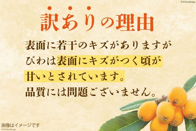 BI208 【令和9年度出荷分】訳あり 長崎 びわ 500g 温室ハウス栽培 長崎早生 [ フルーツ 枇杷 ビワ 果物 化粧箱入り 季節限定 99アイランドファーム 長崎県 島原市 ]