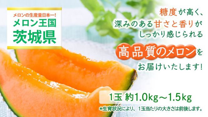 ＼ 玉数とお届け回数が選べる ／ 赤肉アールスメロン 1玉 / 2玉 / 3玉 アールスメロン 赤肉 ギフト 高糖度 甘い フルーツ 誕生日 プレゼント ギフト 贈り物 父の日 母の日 1回 / 2回 / 3回 / 6回 / 12回