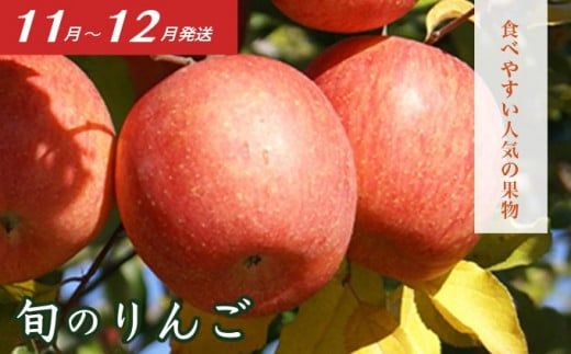 ［3回定期便］ 信州フルーツ3回コース ［小布施屋］ 定期便 先行予約 フルーツ 数量限定 白桃 シャインマスカット ぶどう りんご お楽しみ 3回お届け 長野県産 信州産 令和8年産 【2026年7月～12月発送】