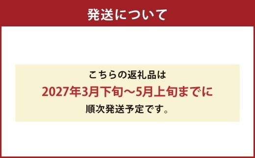 【 先行受付 】 上天草市産 あまくさ晩柑 約9kg （ サイズミックス ） 晩柑 ばんかん 果物 くだもの フルーツ 果実 果汁 果肉 ジューシーオレンジ 甘さ 酸味 柑橘 柑橘系 国産 熊本県産 【 2027年3月下旬～5月上旬順次発送予定 】