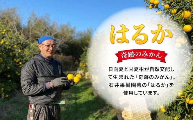 【期間限定】糸島はるかの炭酸水 500ml×24本入り 糸島市 / スターナイン [ARM021] 炭酸水 ペットボトル 500ml 24本 2ケース 無糖 みかん 柑橘 ドリンク