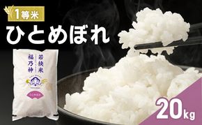 令和7年産 ひとめぼれ 20kg（一等米・神谷農園） 米 お米 若狭町