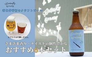 楽器シリーズのクラフトビール（6本セット）