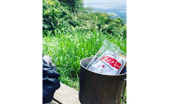 【3か月定期便】てらだやチキンバー 10本入り×5パックセット 手羽先 おかず お酒 贈り物 ギフト キャンプ アウトドア キャンプ飯 保存食 非常食 鶏 人気 厳選 袋井市 お肉 鶏肉 手羽揚げ 惣菜 肉料理 おやつ つまみ 美味鶏 お弁当