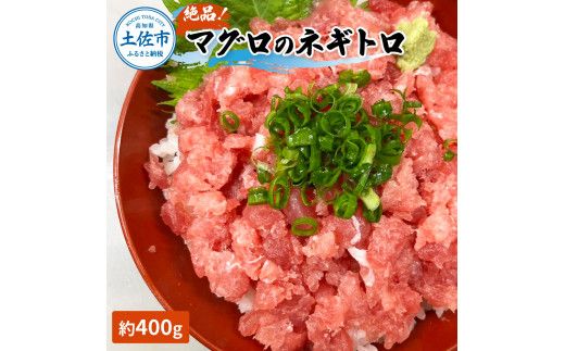 マグロのネギトロ 約400g 約3～4人前 薬味・醤油付き まぐろ 鮪 ねぎとろ 魚介 海鮮 海鮮丼 お寿司 おかず【さかなの森澤　マル祐】 [BQAM015]