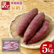 【先行予約】【10月中旬以降より順次発送】訳アリ 茨城県産安納芋 約5kg｜さつまいも 芋 サツマイモ 安納芋 訳あり わけあり 茨城県 取手市（AS004-1）