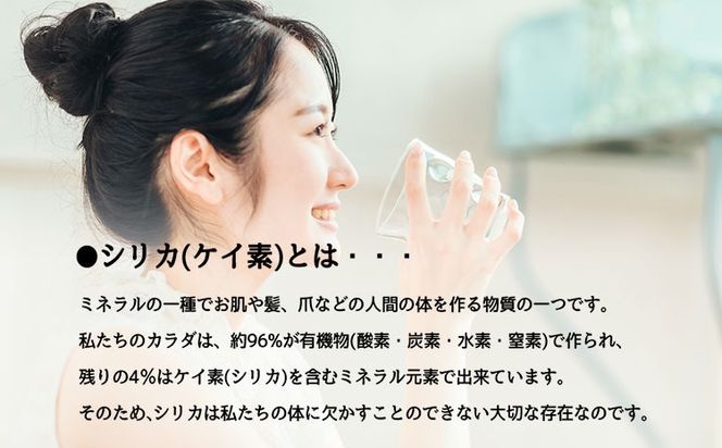 シリカビヨンドナチュラル300ml×20本入 ルーシッド株式会社 《90日以内に出荷予定(土日祝を除く)》 熊本県南阿蘇村 天然水---sms_rusidnatu_90d_26_13000_20i---