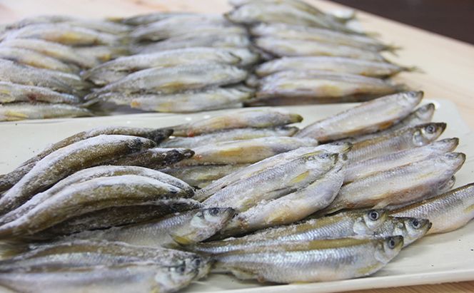 洞爺湖町産 黄金のわかさぎ 18尾×2P 計36尾 北海道産 ワカサギ わかさぎ 川魚 魚介類 産地直送 冷凍 お取り寄せ グルメ 料理 天ぷら フライ とうやマルシェ 北海道 洞爺湖町
