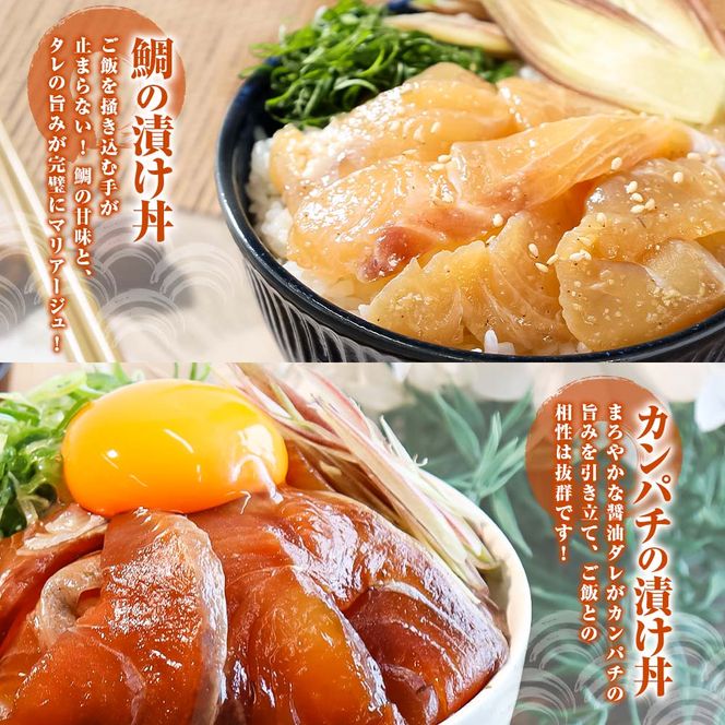 こだわり！土佐の海鮮丼の素 5種・各2袋セット【鰹タタキ漬け入り！】小分け 個包装 漬け丼 づけ丼 漬け丼の素 かつおのたたき カツオ さば 鯖 鯛 タイ カンパチ 勘八【企業組合　宇佐もん工房】 [BQAB021]