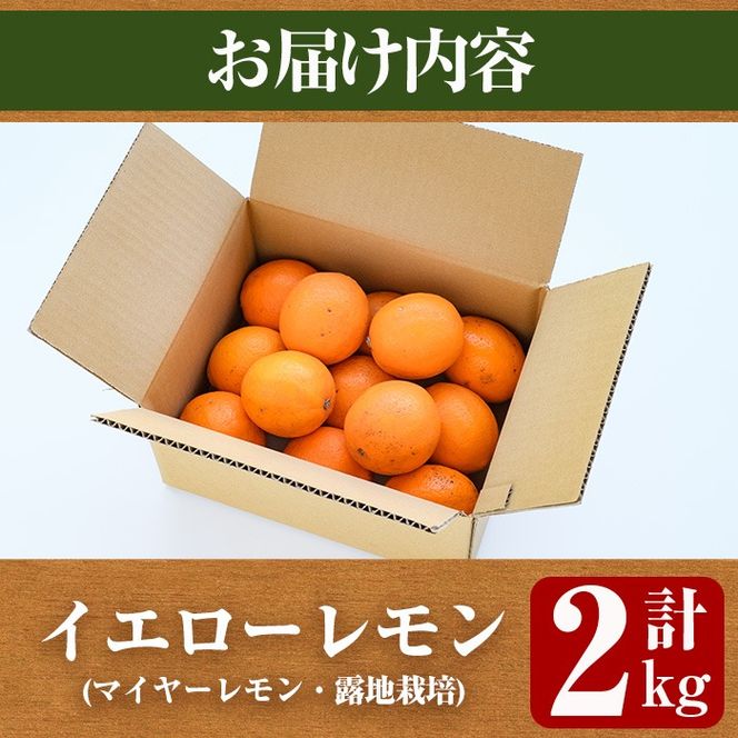 数量限定！露地マイヤーイエローレモン(2kg) 国産 果実 果物 レモン イエローレモン フルーツ 檸檬 柑橘 デザート 期間限定【桐野柑橘株式会社】akn070-10
