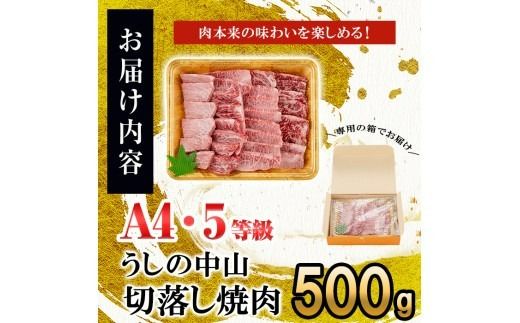 ＜A4・A5等級＞鹿児島県産黒毛和牛 うしの中山 切り落とし焼肉用 500g a9-044