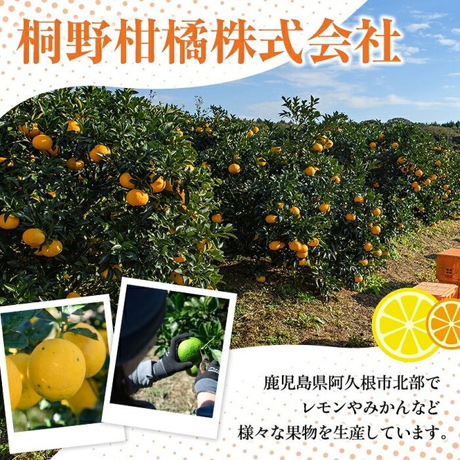 三柑シロップ・マイヤーレモン果汁 (各1本) 国産 檸檬 果実 果物 フルーツ 柑橘 デザート お菓子作り 常温配送 ドリンク シロップ 果汁 アレンジ レモネード ソーダ割 果汁100％ 紅不知火 紅甘夏 【桐野柑橘株式会社】akn070-25