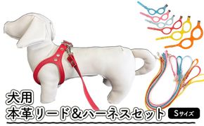 犬用・本革リード、ハーネスセット Sサイズ | リード ハーネス セット 犬 おしゃれ