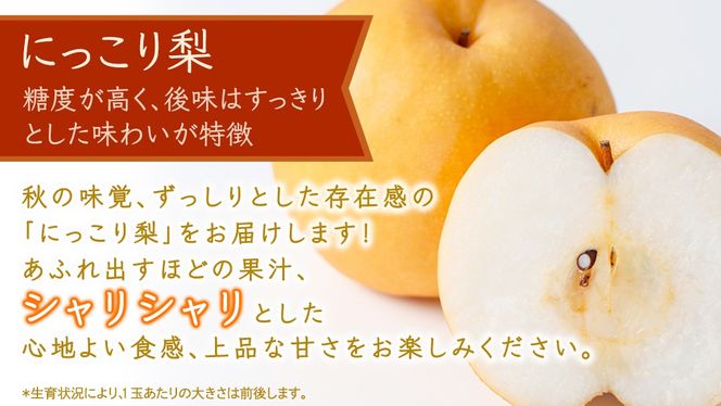 ＼ 選べる内容量 ／ にっこり 梨 約3kg / 約5kg / 約10kg 【2026年10月より発送開始】（茨城県共通返礼品 [梨]：大子町産） なし 旬 お取り寄せ フルーツ 甘い ジューシー 和梨 時期
