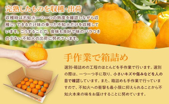 アルギット 不知火 約5kg 大玉 サイズ（15～18玉）| 先行予約 不知火 デコ みかん 甘い おいしい ジューシー 完熟 期間限定 数量限定 フルーツ 果物 柑橘 人気 おすすめ 高級 こだわり ギフト 旬 お取り寄せ 送料無料 和歌山 有田川町 DT016