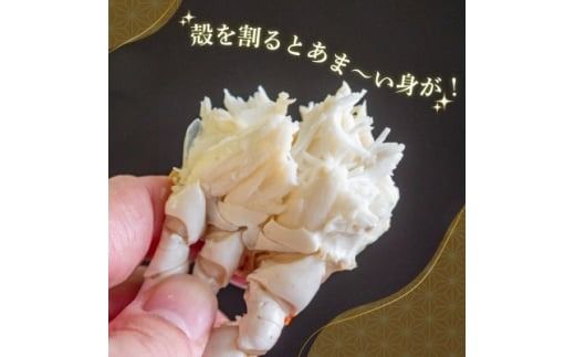 ＜数量限定＞魚太郎のボイルワタリガニ 3杯 1匹250g～300g 冷凍 カニ 蟹 国産 魚介 海鮮 味噌 ボイル済み 愛知県 南知多町