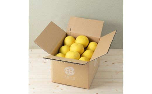 【先行予約】☆至高の柑橘　高知産 土佐文旦☆ 2L 21玉入【家庭用】〈2027年1月下旬頃より順次発送〉/ 柑橘 フルーツ 先行予約 ぶんたん ブンタン 果物 お取り寄せ【TAMURAKAJUEN】