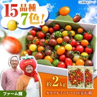【先行予約】15品種7色の彩り/ カラフルミニトマトの宝石箱約2kg〈2026年12月下旬から順次発送〉 トマト ミニトマト とまと カラフルミニトマト 詰め合わせ 15品種以上 新鮮野菜 カラフル トマト とまと 美味しい サラダ 野菜 高知県産 高知県 土佐市【ファーム輝】 [BQBM007]