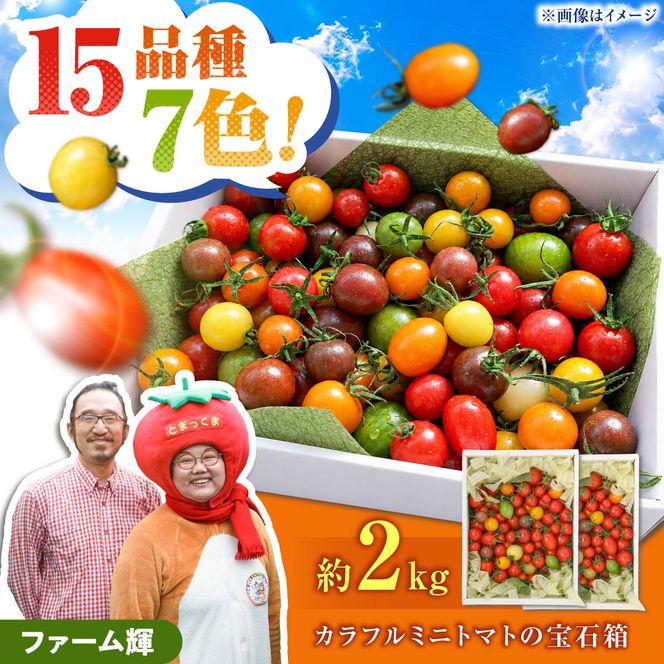 【先行予約】15品種7色の彩り/ カラフルミニトマトの宝石箱約2kg〈2026年12月上旬から順次発送〉 トマト ミニトマト とまと カラフルミニトマト 詰め合わせ 15品種以上 新鮮野菜 カラフル トマト とまと 美味しい サラダ 野菜 高知県産 高知県 土佐市【ファーム輝】 [BQBM007]